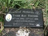 image of grave number 745619